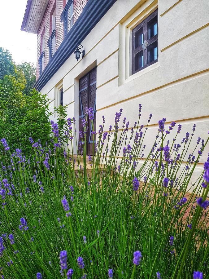 Antaloczy Winery&Apartments Tokaj Exterior photo