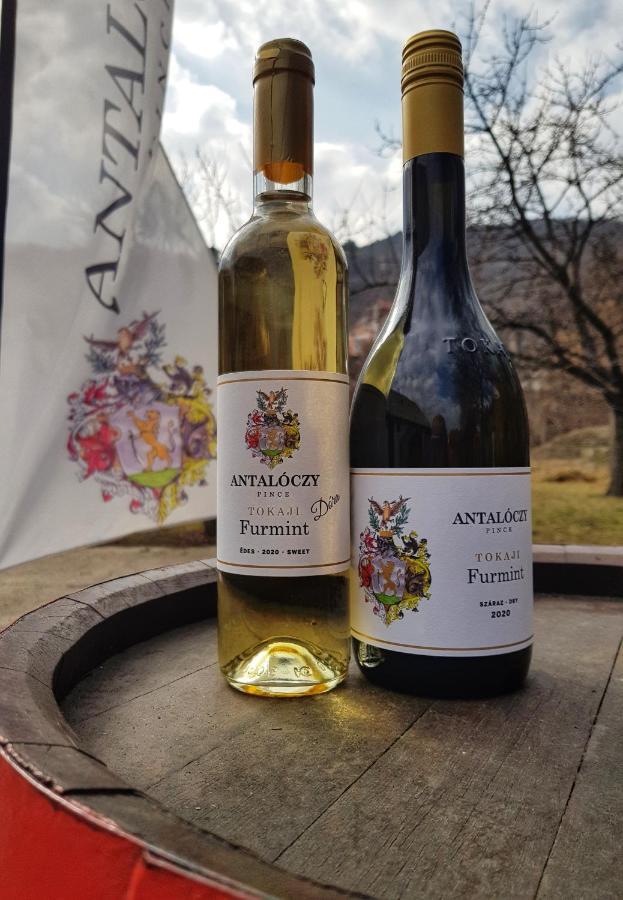 Antaloczy Winery&Apartments Tokaj Exterior photo
